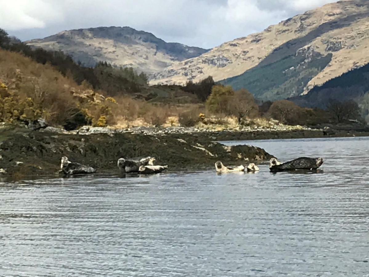 Carrick Farm Hotel Lochgoilhead Exterior foto